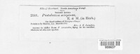 Image Associated With the Occurence